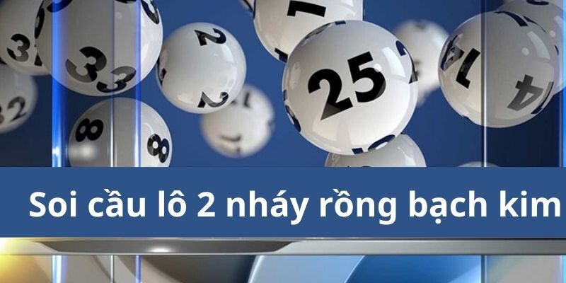 Bí quyết soi cầu lô 2 nháy rồng bạch kim từ cao thủ